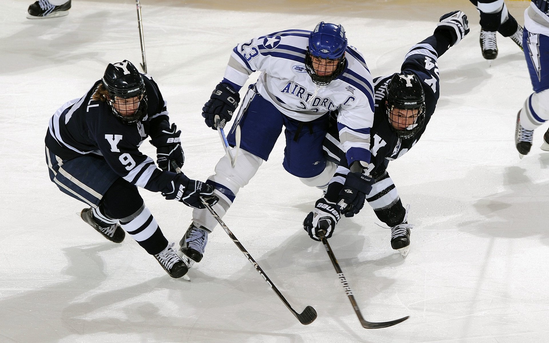 上海海港连续多场保持零封，上海诲港