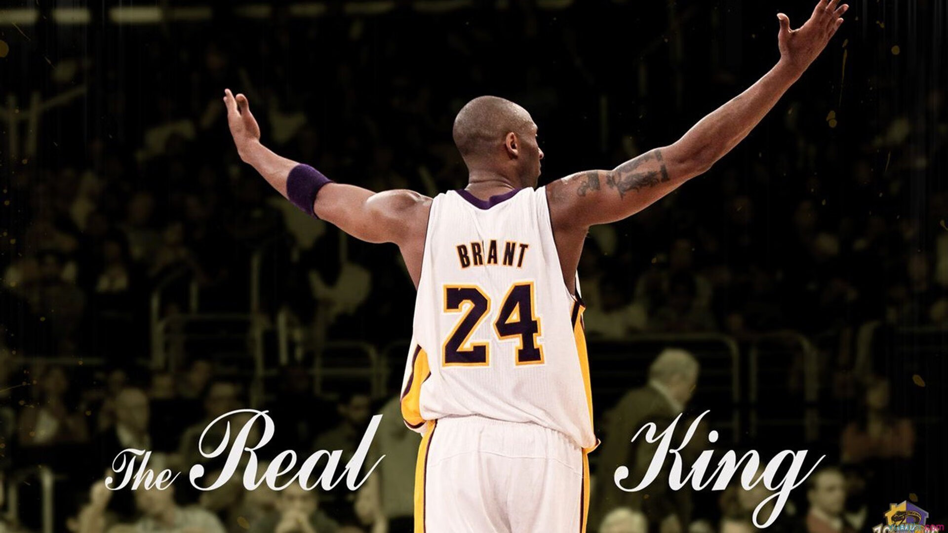 阿根廷选手沉着应对,奋力拼搏,阿根廷队的