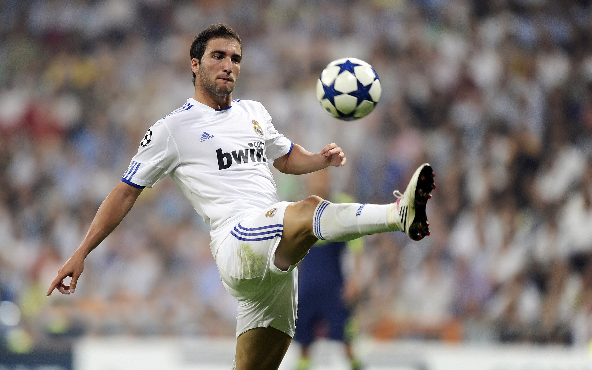 青岛黄海中场被罚下场，影响球队比赛节奏，青岛黄海队主场在哪